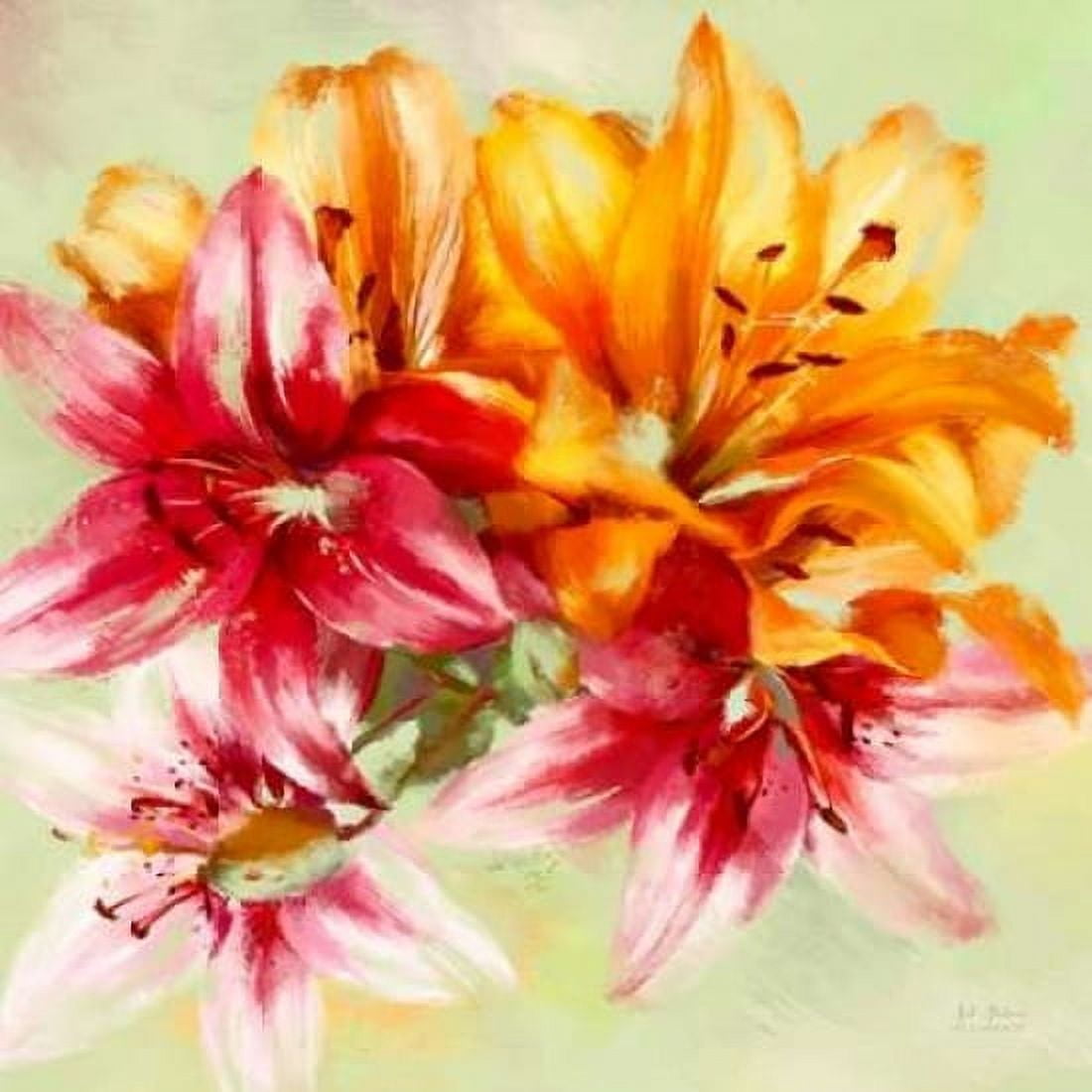 Bursting Lillies 1 Canvas Art - Art Atelier Alliance (24 x 24)
