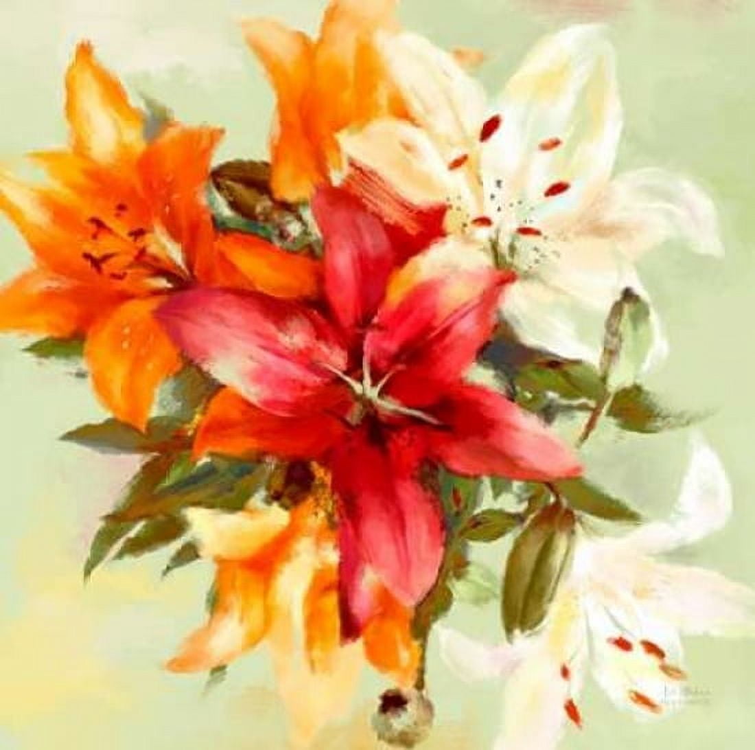 Bursting Lillies 2 Canvas Art - Art Atelier Alliance (24 x 24)