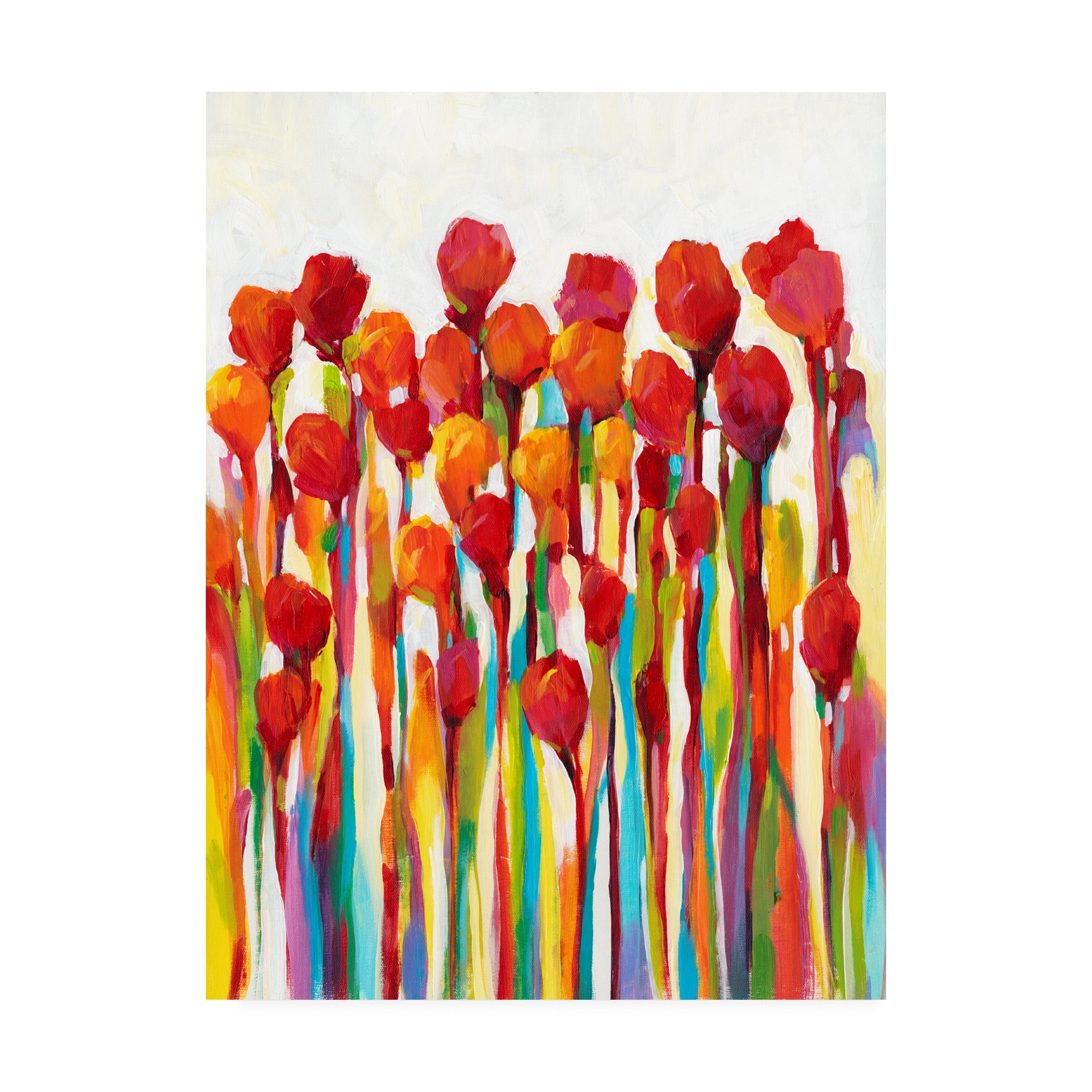 Bursting with Color I' Canvas Art by Tim OToole
