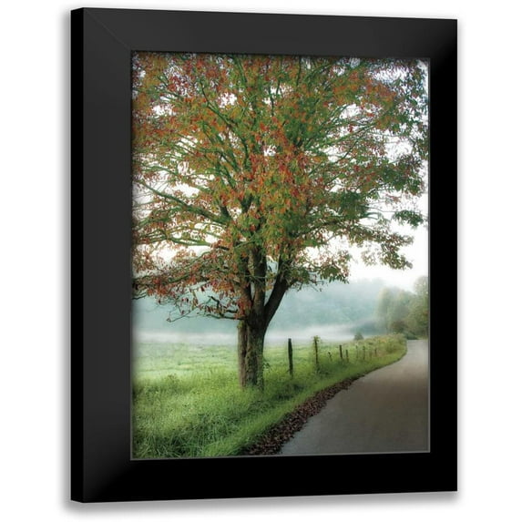 Burt, D. 11x14 Black Modern Framed Museum Art Print Titled - Almost Autumn