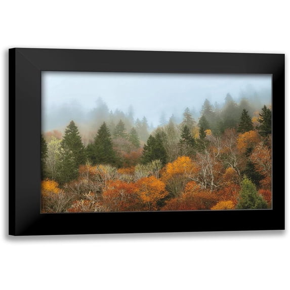 Burt, D. 18x13 Black Modern Framed Museum Art Print Titled - Autumn Mountain