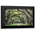 thumbnail image 1 of Burt, Daniel 18x13 Black Modern Framed Museum Art Print Titled - The Old South, 1 of 5