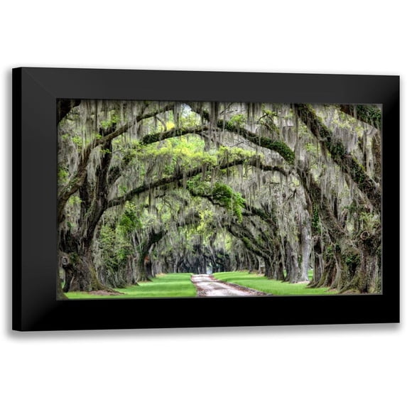Burt, Daniel 18x13 Black Modern Framed Museum Art Print Titled - The Old South