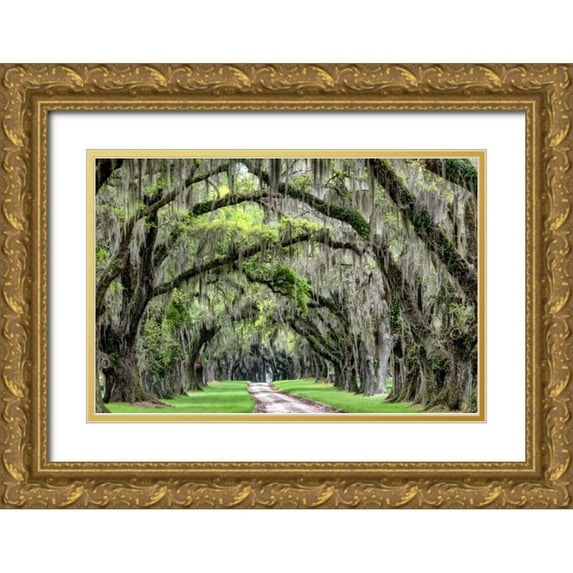 Burt, Daniel 32x23 Gold Ornate Wood Framed with Double Matting Museum Art Print Titled - The Old South