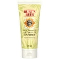thumbnail image 1 of Burt's Bees Aloe & Coconut Oil After-Sun Soother, 6 Oz, 1 of 9