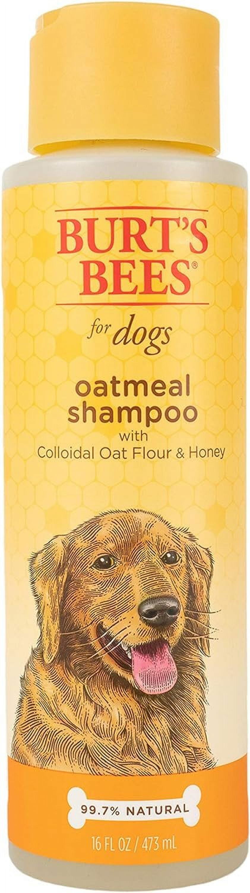 Burt's Bees for Dogs Oatmeal Dog Shampoo With Colloidal Oat Flour
