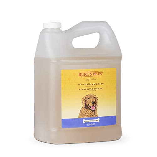 Curated visual reference: Picture Idea: Burt S Bees For Dogs Natural Itch Soothing Shampoo With