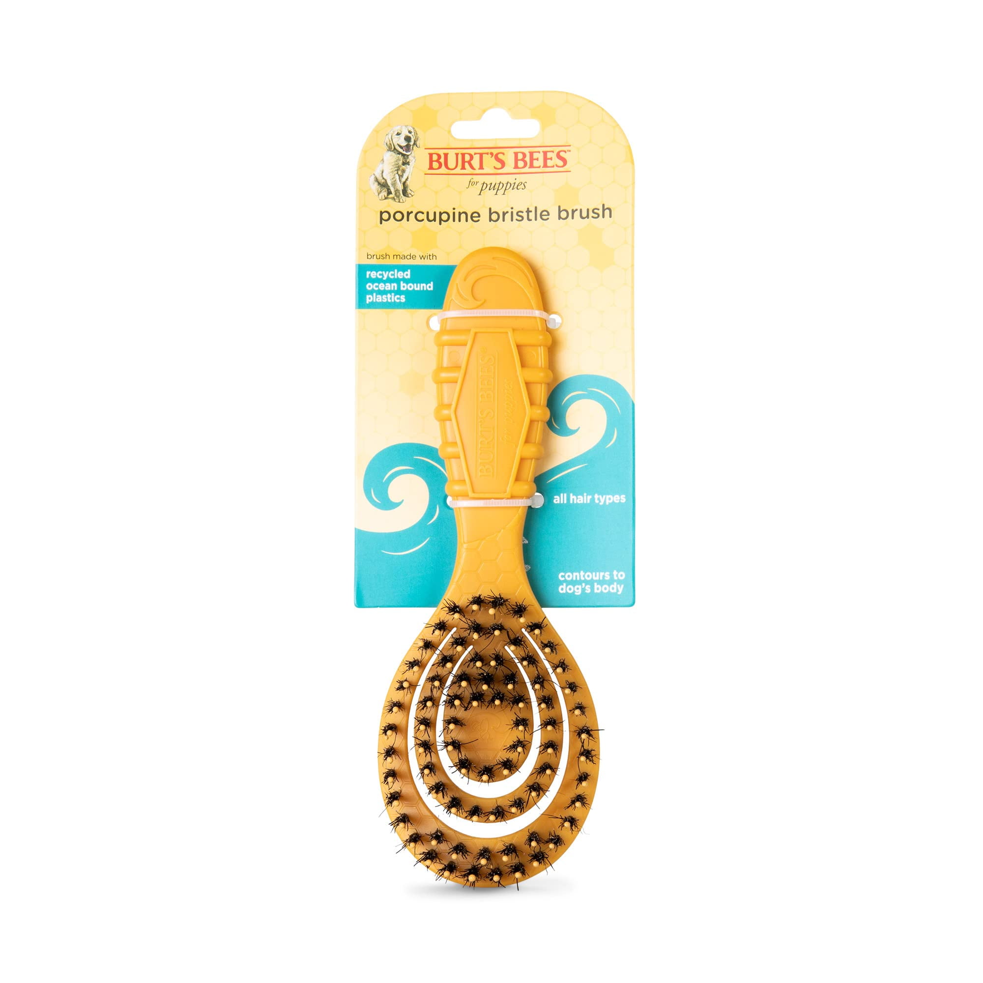Burt's Bees For Pets Porcupine Bristle Brush for Puppies and Small Dog Flex-Head Grooming Brush