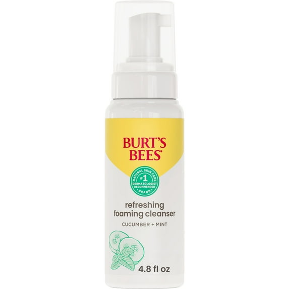 Burt's Bees Gentle Foam Cleanser, Normal to Combination Skin, 4.8 oz