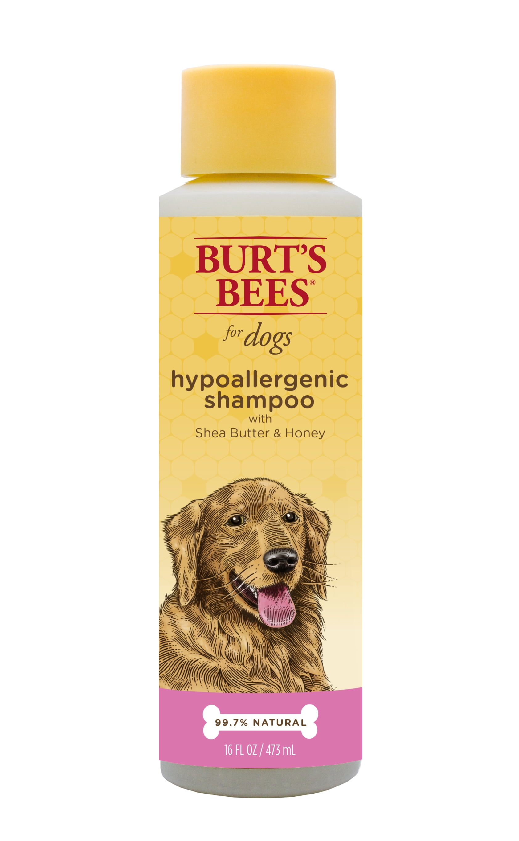 næse Fiasko bekræft venligst Burt's Bees Hypoallergenic Dog Shampoo with Shea Butter, 16 oz. -  Walmart.com