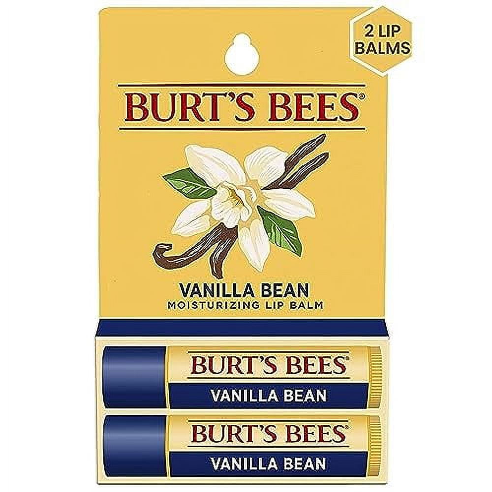 Burt's Bees Lip Balm, Moisturizing Lip Care, for All Day Hydration, 100