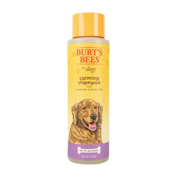 Burt's Bees Natural Calming Dog Shampoo with Lavender and Green Tea, 16 fl oz
