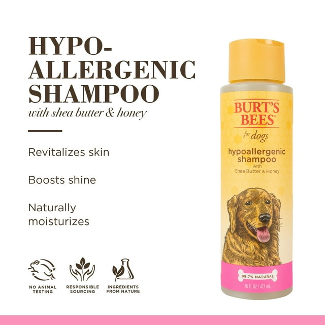 Burt's Bees Natural Hypoallergenic Shampoo with Shea Butter and Honey