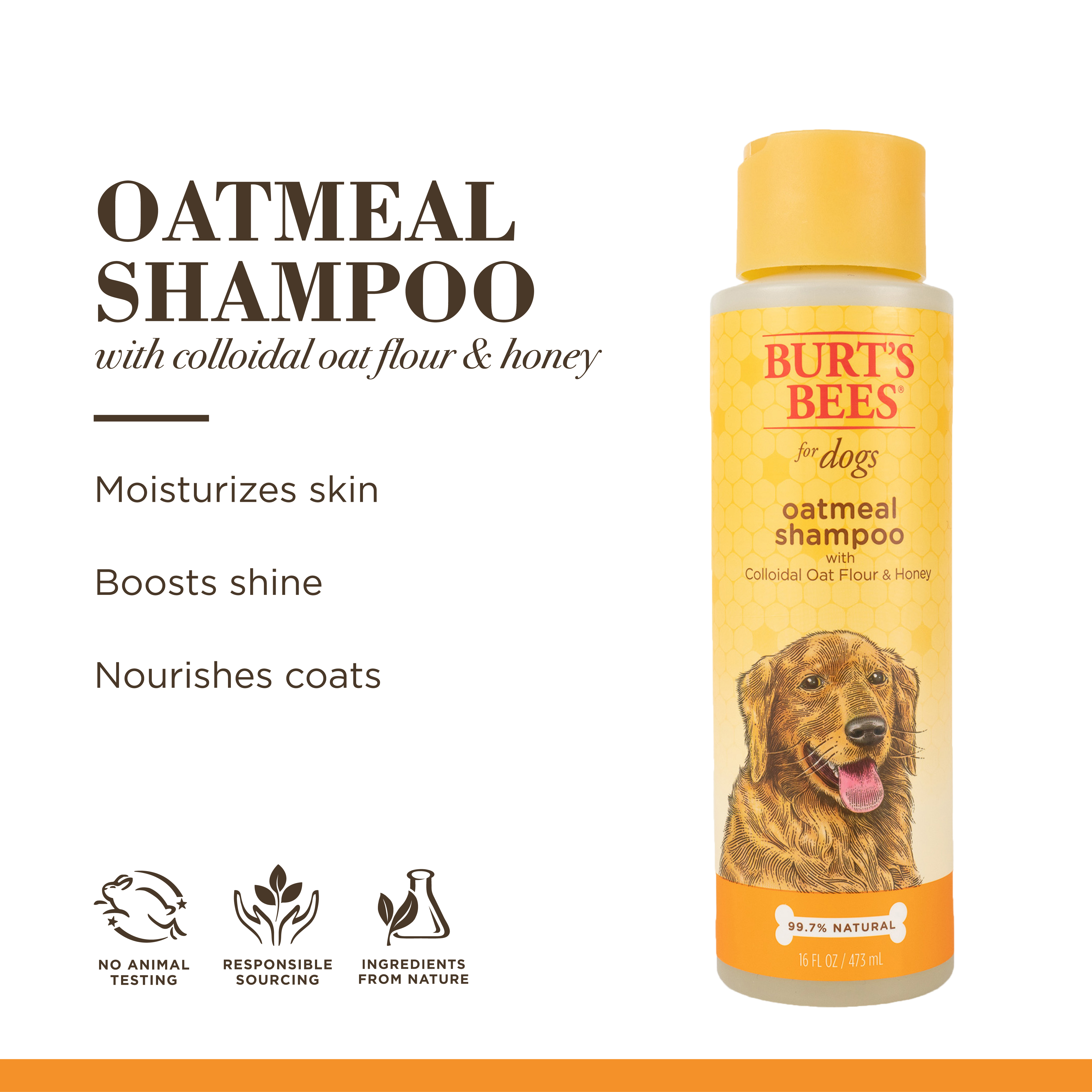 Burt s Bees Oatmeal Dog Shampoo With Colloidal Oat Flour And Honey 16 