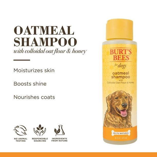 Burt s Bees Oatmeal Dog Shampoo with Colloidal Oat Flour and Honey 16 oz