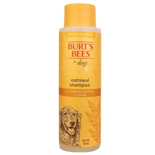 Dog Shampoos Benzoyl Peroxide