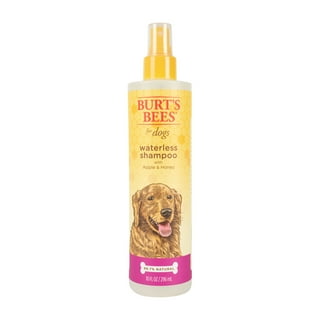 Dog Dry Shampoo in Dog Shampoo Walmart