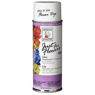 Design Master 649 Mess Master Spray Paint Remover 11 Oz – Floral Elements