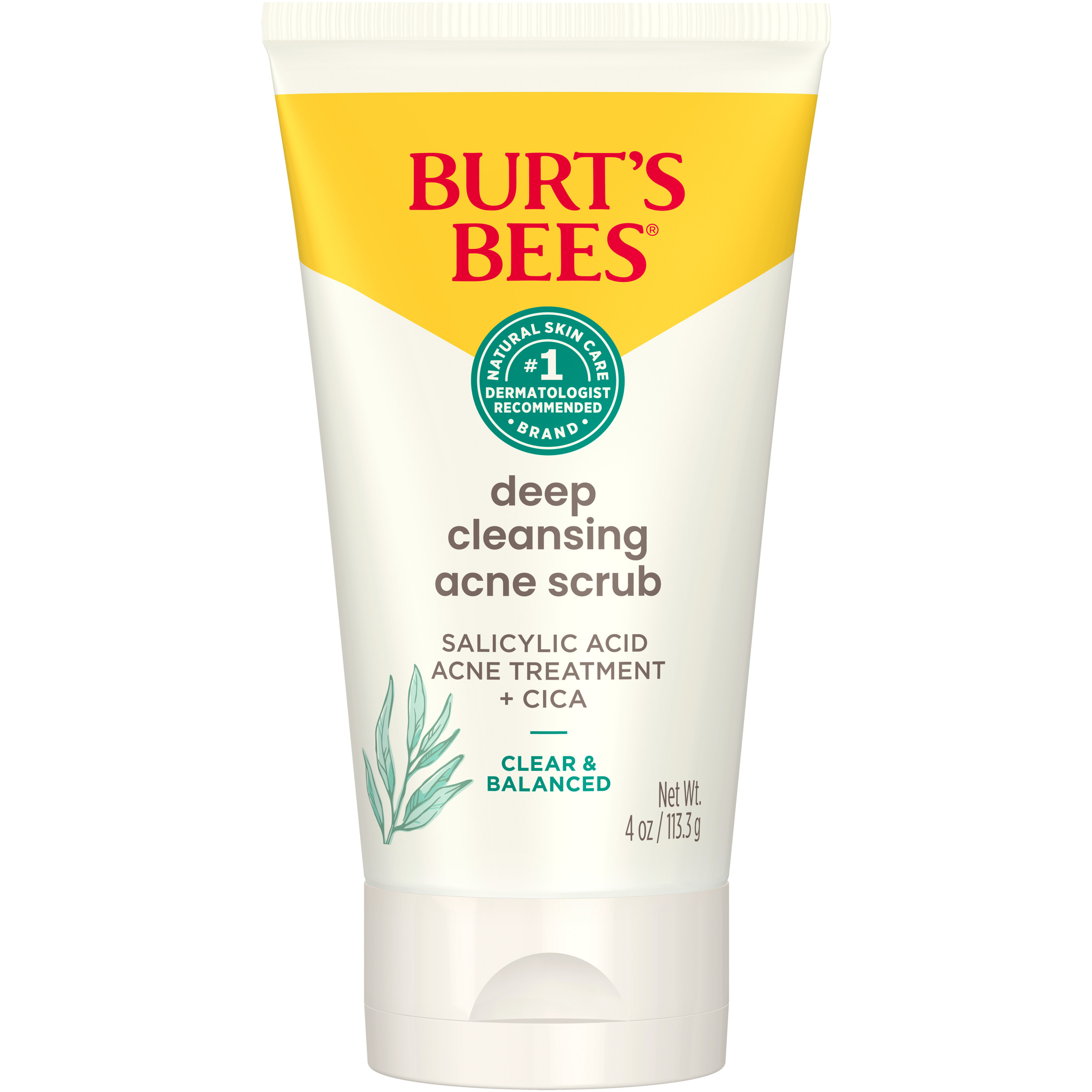 Burts Bees Clear and Balanced Deep Cleansing Acne Face Scrub, 4 Oz - image 1 of 10