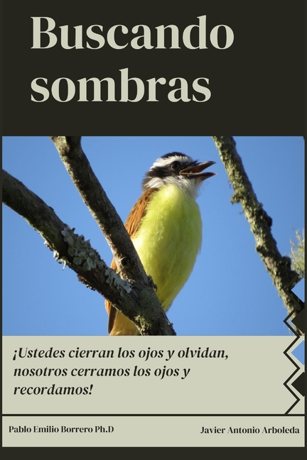 Buscando sombras, (Paperback)