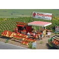 thumbnail image 1 of Busch HO Scale Strawberry Stand (Farm Market Stall) Kit, 1 of 1