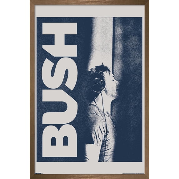 Bush - Blue Studio Wall Poster, 22.375" x 34" Framed