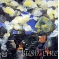 thumbnail image 1 of Bush Fire, 1 of 1