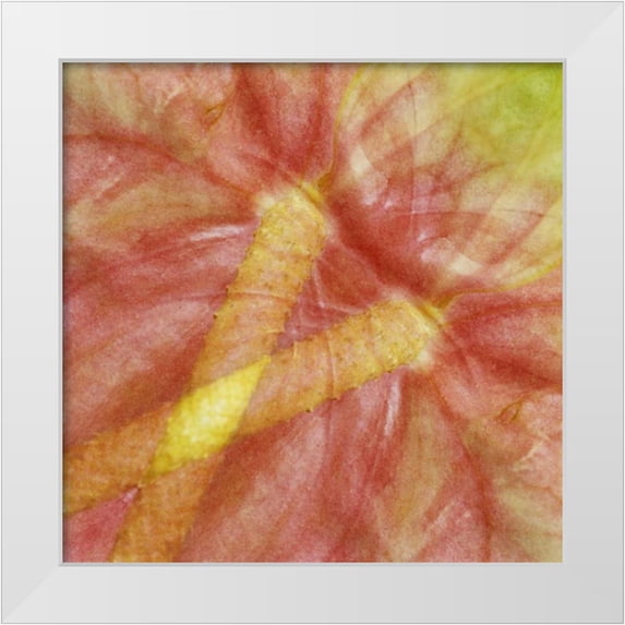 Bush, Marie 12x12 White Modern Wood Framed Museum Art Print Titled - USA, Hawaii Anthurium flower montage