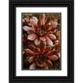 thumbnail image 1 of Bush, Marie 14x18 Black Ornate Wood Framed with Double Matting Museum Art Print Titled - Canada Succulent plant close-up, 1 of 4