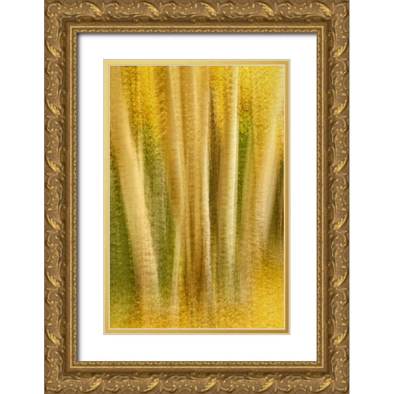 Bush, Marie 17x24 Gold Ornate Wood Framed with Double Matting Museum Art Print Titled - Colorado, San Juan Mountains Aspen tree abstract