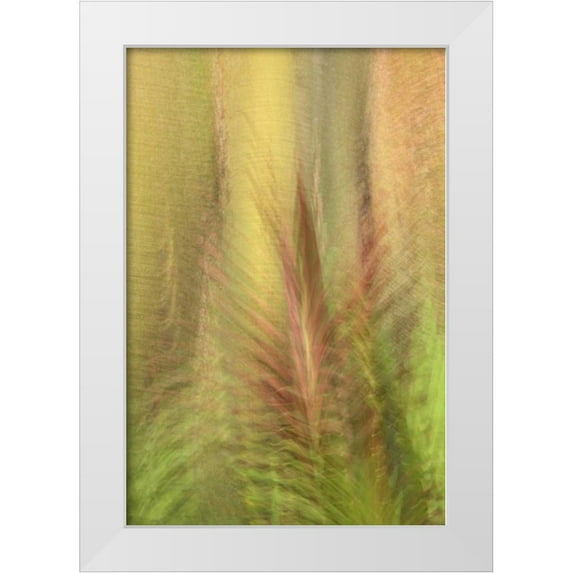 Bush, Marie 17x24 White Modern Wood Framed Museum Art Print Titled - Ecuador, Colon Montage of botanical plants