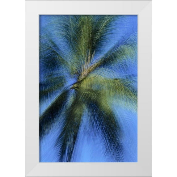 Bush, Marie 17x24 White Modern Wood Framed Museum Art Print Titled - USA, Hawaii Palm tree montage