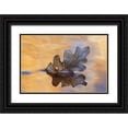 thumbnail image 1 of Bush, Marie 18x13 Black Ornate Wood Framed with Double Matting Museum Art Print Titled - New Mexico Oak leaf in stream at Ghost Ranch, 1 of 4