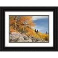 thumbnail image 1 of Bush, Marie 18x13 Black Ornate Wood Framed with Double Matting Museum Art Print Titled - USA, Colorado, Rocky Mountain NP Autumn scenic, 1 of 4