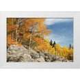 thumbnail image 1 of Bush, Marie 18x13 White Modern Wood Framed Museum Art Print Titled - USA, Colorado, Rocky Mountain NP Autumn scenic, 1 of 4