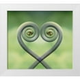 thumbnail image 1 of Bush, Marie 22x20 White Modern Wood Framed Museum Art Print Titled - Hawaii Frond montage at Akaka Falls State Park, 1 of 4