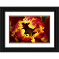 thumbnail image 1 of Bush, Marie 24x17 Black Ornate Wood Framed with Double Matting Museum Art Print Titled - Europe, Netherlands, Lisse Parrot tulip close-up, 1 of 4