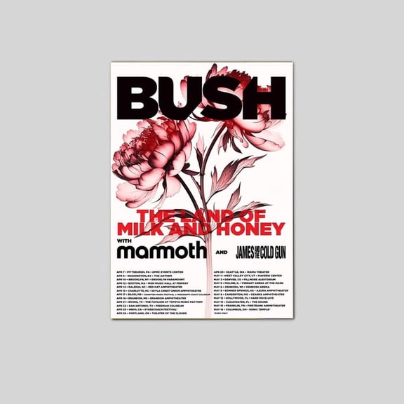 Bush Spring 2026 North America Tour Poster Size 24''x36'' Goldengate