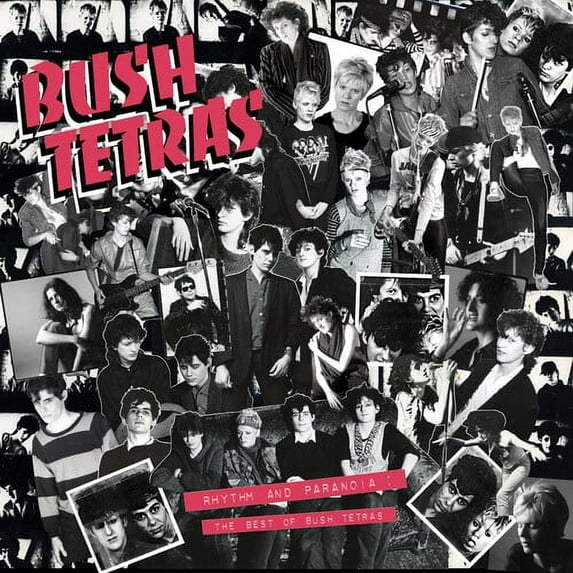 Bush Tetras - Rhythm & Paranoia: The Best of Bush Tetras - Music & Performance - CD