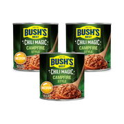 Bush's Chili Magic Beans, Campfire Style Pinto Beans in Medium Chili Sauce, 15.5 oz Can (Pack of 3)