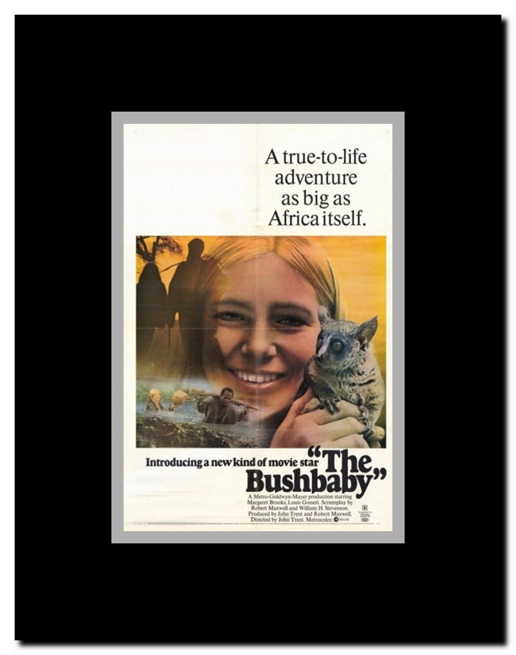 Bushbaby Framed Movie Poster