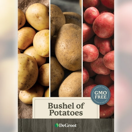 Bushel of Seed Potatoes (DIY)
