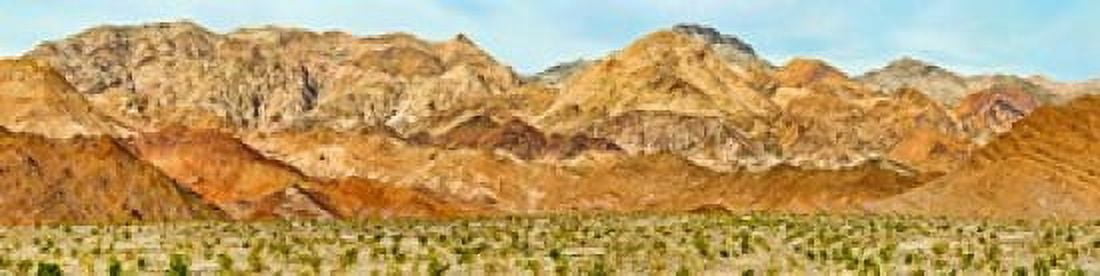 Bushes in a desert with mountain range in the background Death Valley Death Valley National Park California USA Canvas Art - Panoramic Images (20 x 5)