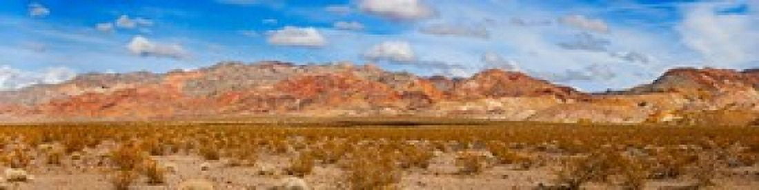 Bushes in a desert with mountain range in the background Death Valley Death Valley National Park California USA Canvas Art - Panoramic Images (40 x 10)