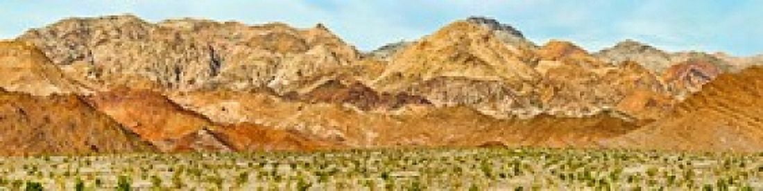 Bushes in a desert with mountain range in the background Death Valley Death Valley National Park California USA Canvas Art - Panoramic Images (40 x 10)