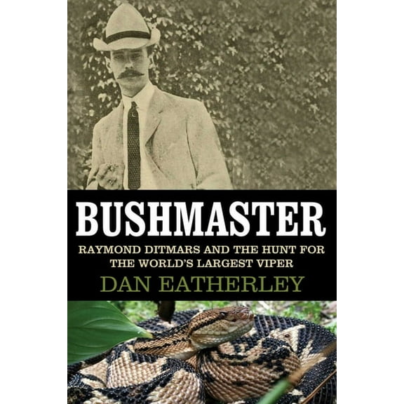 Bushmaster : Raymond Ditmars and the Hunt for the World's Largest Viper (Hardcover)