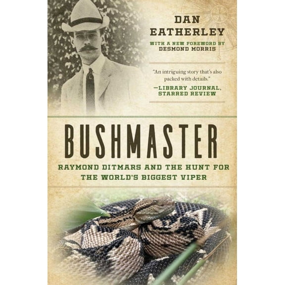 Bushmaster : Raymond Ditmars and the Hunt for the World's Largest Viper (Paperback)