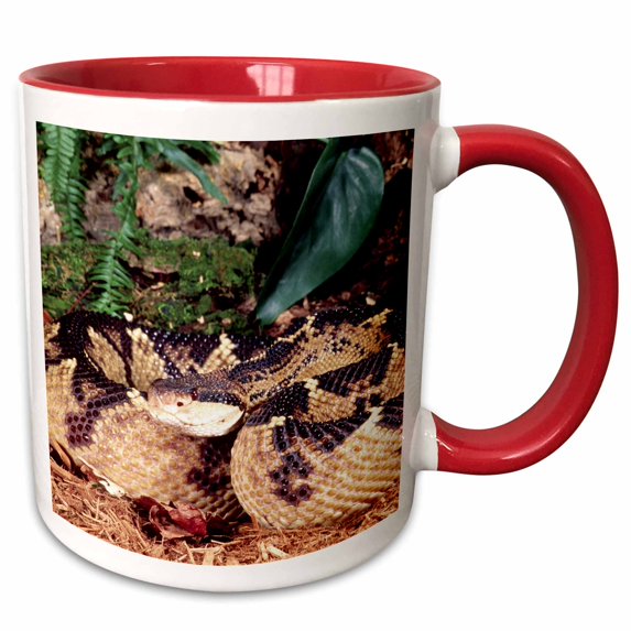 3drose, Bushmaster Snake - Na02 Dno0442 - David Northcott, 15oz Two-tone Red Mug