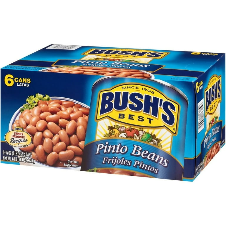 BUSH'S Pinto Beans, 16 Ounce, Pack of 6, Canned, Versatile, High