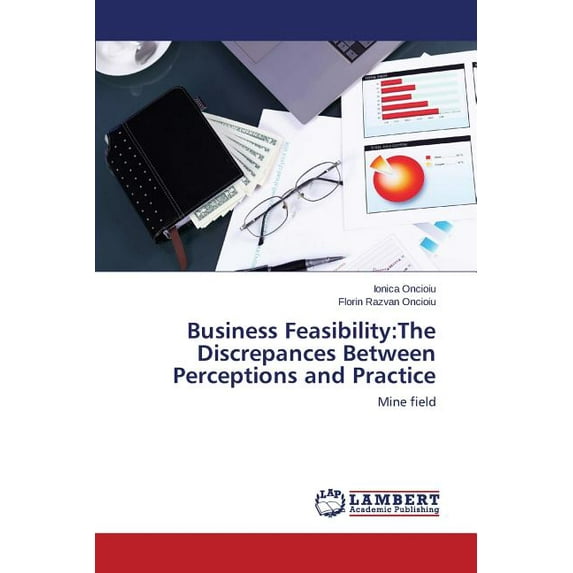 Business Feasibility: The Discrepances Between Perceptions and Practice (Paperback)